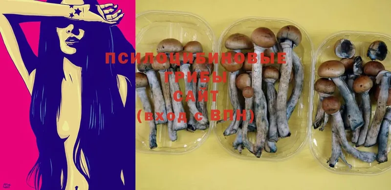 Псилоцибиновые грибы MAGIC MUSHROOMS  Городец 